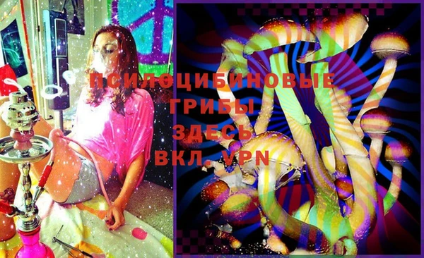 твердый Кулебаки