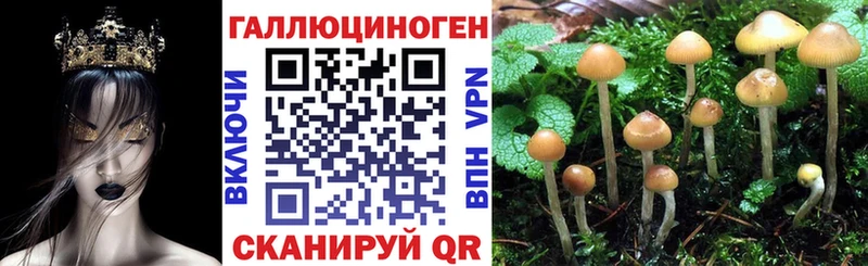 Галлюциногенные грибы MAGIC MUSHROOMS  Сольцы 